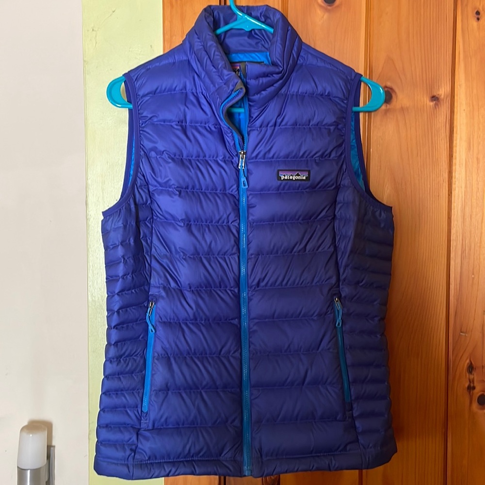 Patagonia down sweater vest